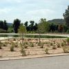 Parterre rocalla
