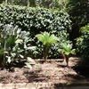 Parterre