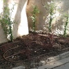 Parterre 