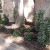Parterre 