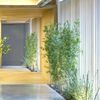 Pasillo con plantas