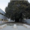 Arreglo muro y baldosas patio exterior