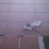 patio fuenlabrada