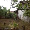 PAZO