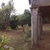 PAZO