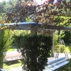 pergola