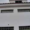 PINTADA DE CASA