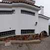 PINTADA DE CASA