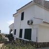 PINTADA DE CASA