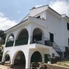 PINTADA DE CASA