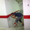 Pintado