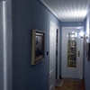 Pintura, lacado y electricidad