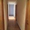 Pintura pared satinado blanco