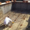 Piscina en ejecución