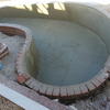 Piscina riñon