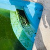 Piscina sucia