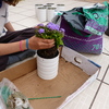 Plantar las macetas