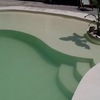 Playa para tomar el sol