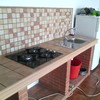 Pollo de obra 