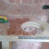 PROCESO