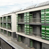 PROJECTE PLURIFAMILIAR