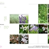 Propuesta de diseño de jardín en ático.