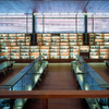 Proyecto Biblioteca