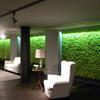 Proyecto Hoteles