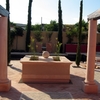 Construcción piscina de arena y proyecto paisajista