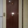 Puerta principal - acorazada