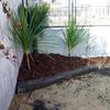 realizacion de jardines