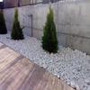 Realización de Jardines