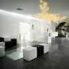 recepción-hall