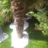 rediseño de las jardineras