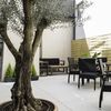 Cortar arboles en zona santa cristina d´aro, en girona