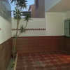 Reforma de patio, nivelación, aguas