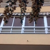 Rehabilitación de fachadas en Segur de Calafell, C/Pinar, 10