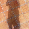 REHABILITACION DE TERRAZA CON MATERIAL IMPERMEABLE TRANSPARENTE Y TRANSITABLE