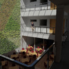 Render patio central