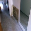 REPACION DE HUMEDADES Y DECORACION