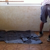 REPACION DE HUMEDADES Y DECORACION
