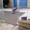 Reparacion de Pavimento de Hormigón