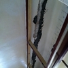 REPARACION DE VIGAS CON FIBRA DE CARBONO