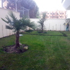 Limpiar Zonas Jardín En Comunidad