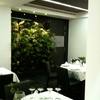 Restaurante Quebracho - Elche (02)