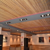 RESTAURANTE TODO CARNE - TECHO SALÓN COMEDOR