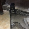retirada de escombro