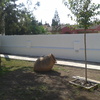 Pintar vaya de hierro jardin y muro