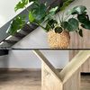 Rincón de la casa con planta decorativa