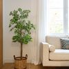 Rincón del salón con planta